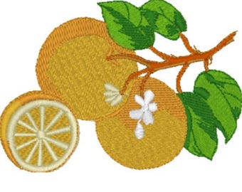 Orange Tree Branch Embroidery Machine Pattern Design File Fits 4 x 4 Hoop Dst Exp Hus Jef Pes Vip Xxx