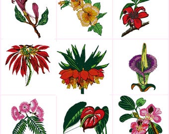 Exotic Flowers of the World  Digital Embroidery Files Set of 9 Dst,Exp,Hus,Jef,Pes,Vip,  Fits 4 x4 Inch Frame