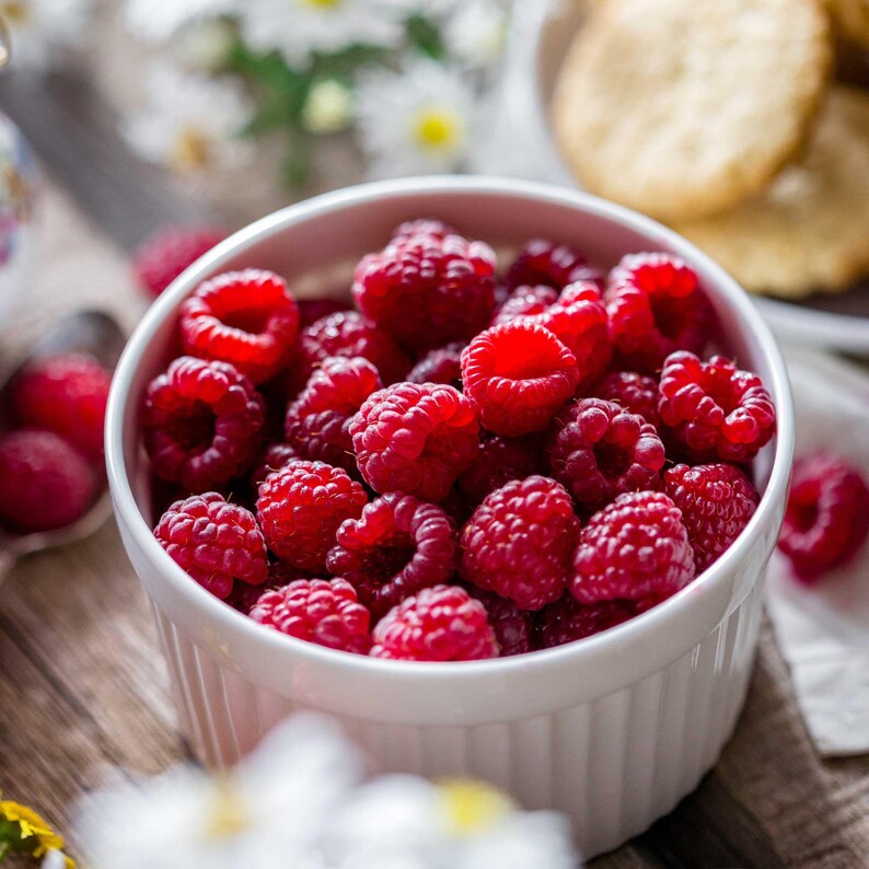 Heritage Raspberry - NationwidePlants.com