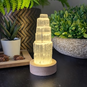 May include: A layered selenite lamp with a natural, textured appearance. The lamp sits on a round, light-coloured wooden base. The lamp is illuminated from within, casting a soft, warm light. Decorative plants are in the background.