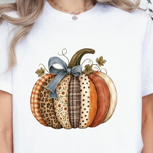 May include: A white short-sleeved t-shirt featuring a central graphic of a pumpkin. The pumpkin is composed of vertical segments with various patterns including leopard print, plaid, floral, and polka dots, topped with a blue ribbon bow.