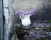 Vintage Ironstone Pitcher - English Ironstone - Collectible - Display - Flower Vase
