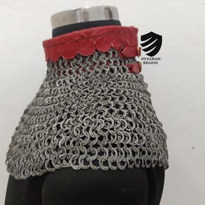 May include: A silver chainmail collar with a red leather trim and two buckles. The collar is on a mannequin and the text "DYNAMIC REGION" is visible on the right side of the image.