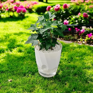 Vaso autoirrigável - Vaso com irrigação automática para plantas internas e externas, design moderno de camada dupla, ideal para decoração de casa, escritório e mesa