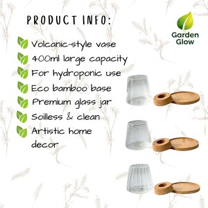 Infographic with key features of the hydroponic vase from Garden Glow. Displayed with leaf icons and clean layout, it lists benefits such as eco bamboo base, clear glass, and soil-free use. Great for helping visually communicate why this product is ideal for modern, minimalist plant lovers.