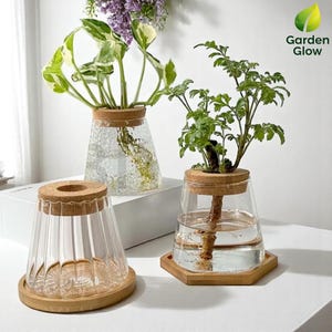 Hydroponische Vase aus Glas zur Anzucht – Modernes Boho-Pflanzenterrarium mit Bambussockel, Öko-Dekor für grünes Wohnen im Innenbereich