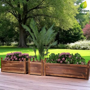 Könnte beinhalten: Drei rechteckige Holzpflanzkästen, gefüllt mit Pflanzen und Blumen. Die Pflanzkästen sind dunkelbraun gebeizt und auf einer Holzterrasse angeordnet. Die Pflanzen umfassen eine palmenartige Pflanze und blühende Pflanzen mit rosa Blüten. Das Logo "Garden Glow" befindet sich in der oberen rechten Ecke.