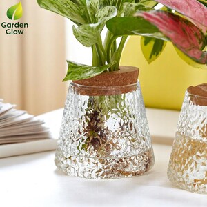 Detailed shot of a glass vase with cork lid, holding colorful variegated leaves. The focus is on texture and organic shape, highlighting Garden Glow’s artistic and functional design. Ideal for buyers looking for eco-chic home accents and plant propagation containers.