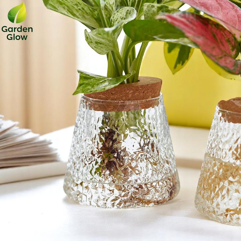 Detailed shot of a glass vase with cork lid, holding colorful variegated leaves. The focus is on texture and organic shape, highlighting Garden Glow’s artistic and functional design. Ideal for buyers looking for eco-chic home accents and plant propagation containers.