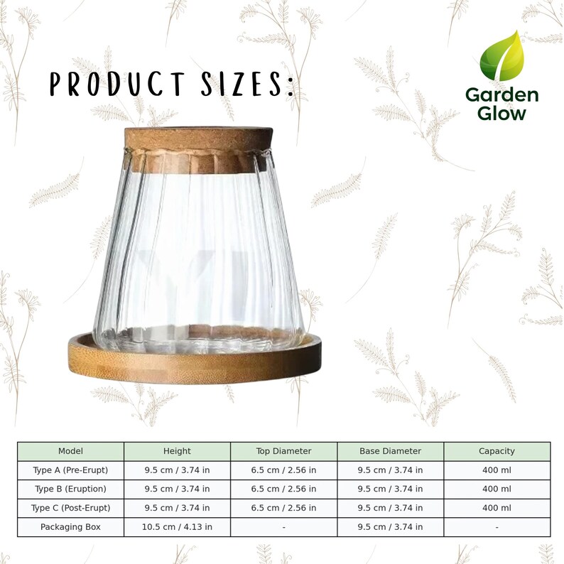 Size chart showing all three Garden Glow hydroponic vase models. Measurements for height and diameter are clearly labeled alongside packaging size. This image helps customers easily understand which version fits their space and plant needs, especially for small indoor arrangements.