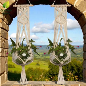 Può includere: Due portavasi in macramè con piante in vasi di vetro. I portavasi bianchi sono sospesi a tasselli di legno e presentano un motivo a rombi. Le piante hanno foglie verdi e fiori rosa, su uno sfondo esterno.