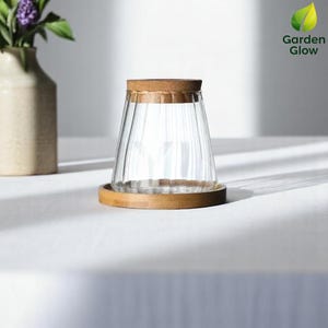 Bright, clean photo of the hydroponic vase placed on a white table in natural light. Shows the product’s bamboo base and compact size. Ideal for demonstrating how the vase fits into calm, modern interiors and emphasizing its use for small-scale propagation.