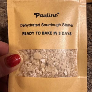 The BEST Sourdough Starter