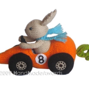 Fittipaldi Car Carrot PDF Email Knit Pattern