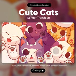 Può includere: Transizione animata di streaming con un gruppo di gatti di cartoni animati carini con pelliccia di diversi colori e impronte di zampe. Il testo "Cute Cats" e "Stinger Transition" è visualizzato sopra l'immagine. Il testo "WEBM Stinger Transition with Transparent Background for OBS Studio & Streamlabs" è visualizzato sotto l'immagine.
