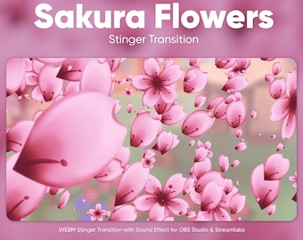 Transizione di Sakura Flowers OBS Stinger per Twitch e streaming di anime