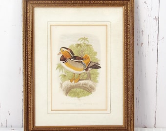 Antique Mandarin Duck Bookplate