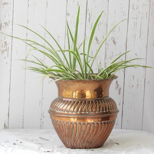 Op de afbeelding: Een grote, antieke koperen plantenbak met een gegroefd ontwerp en een geschulpte rand. De plantenbak is gevuld met een levendige groene plant met lange, slanke bladeren. Het koper heeft een warme, verouderde patina, wat bijdraagt aan de vintage charme.
