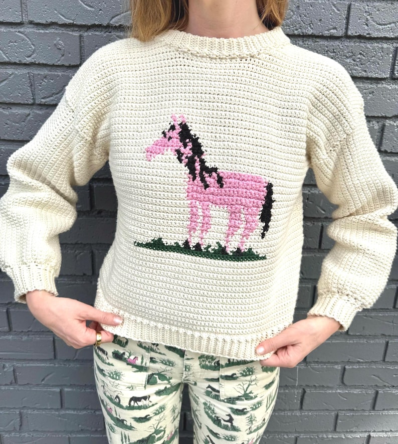 May include: A cream-colored crocheted sweater with a pink horse design. The horse has a black mane and tail.