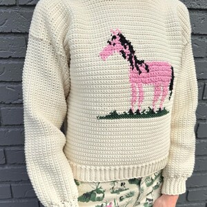 May include: A cream-colored crocheted sweater with a pink and black horse design on the front.