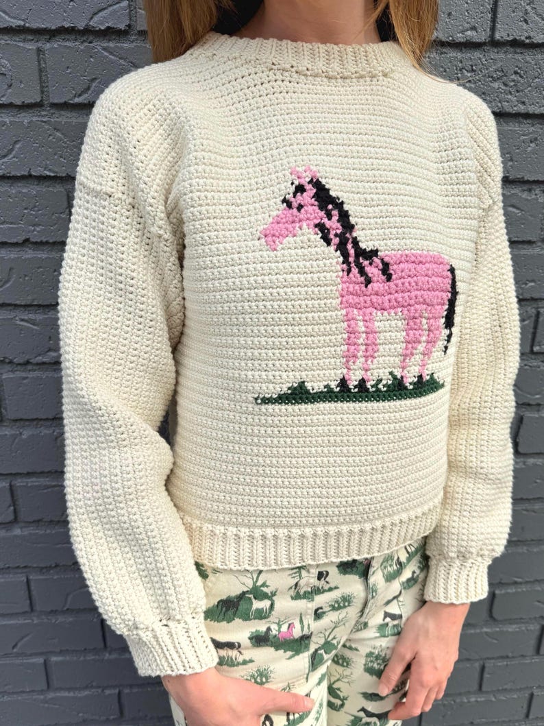 May include: A cream-colored crocheted sweater with a pink and black horse design on the front.