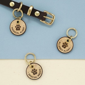 Medical Alert Pet Tag – Custom ID for Dogs Cats, Allergies, Heart Disease, Diabetes, Blind, Deaf, Epilepsy, Special Needs & Emergency Info