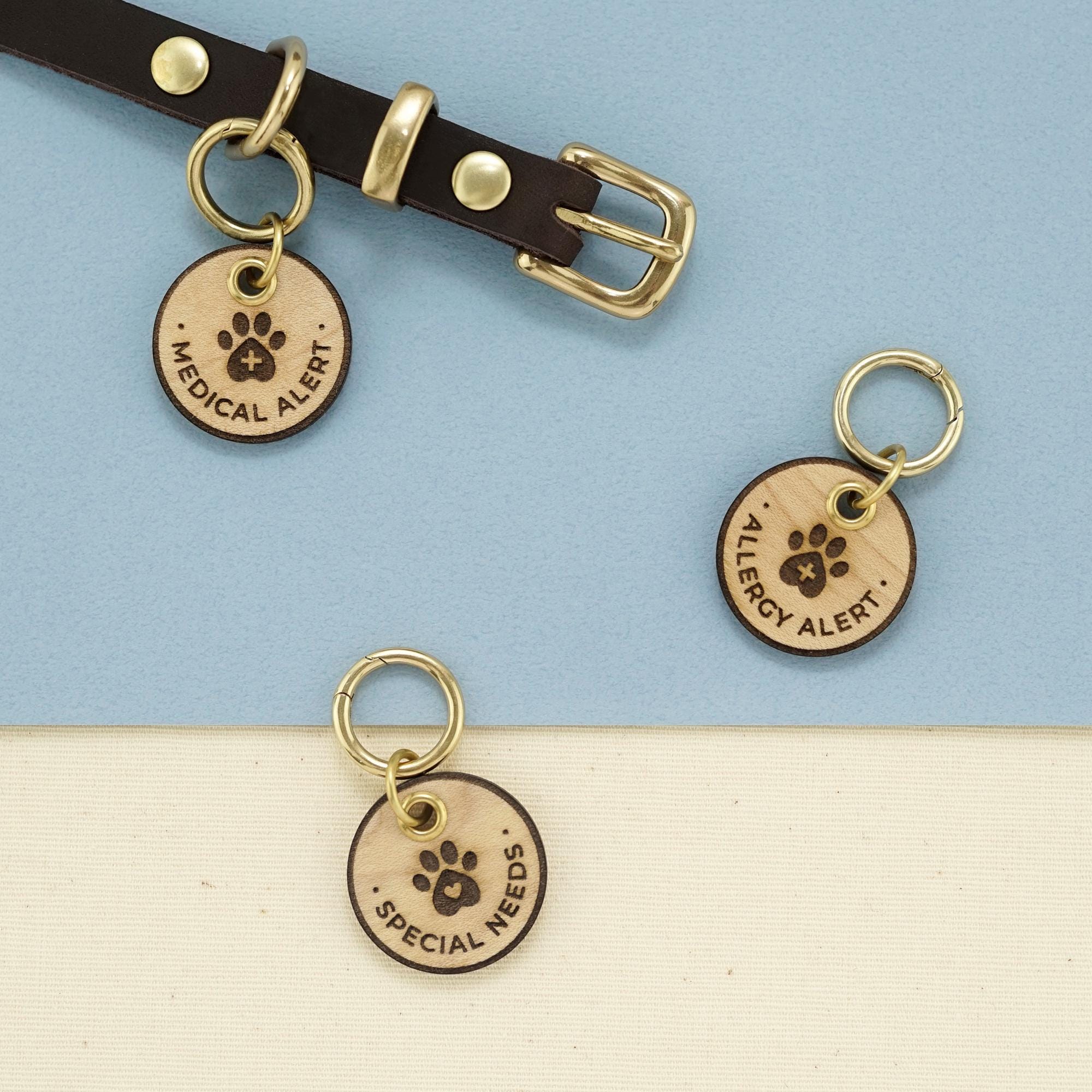 Pet Alert Petlog Id Diabetic Service Dog