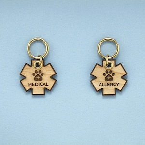 Medical Pet Tag Personalized, Star of Life ID for Dogs & Cats with Allergies, Heart Disease, Diabetes, Blind, Deaf, Epilepsy, Custom Alert