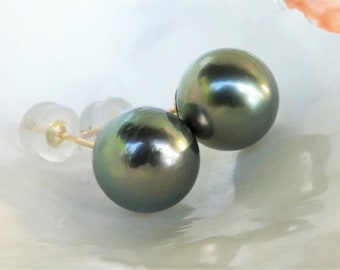 18k Pearl Studs, 8.6mm Dark Forest Hunter Green Tahitian Pearls, Solid Yellow Gold Post, Push Back, Simple Classic Pearl, Birthday Gift