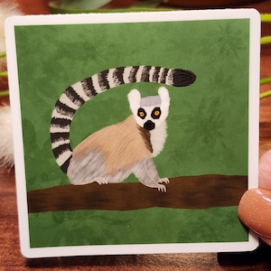 Adesivo Lemure Adesivo Lemure dalla Coda ad Anelli Adesivo Fauna Selvatica Zoo Life