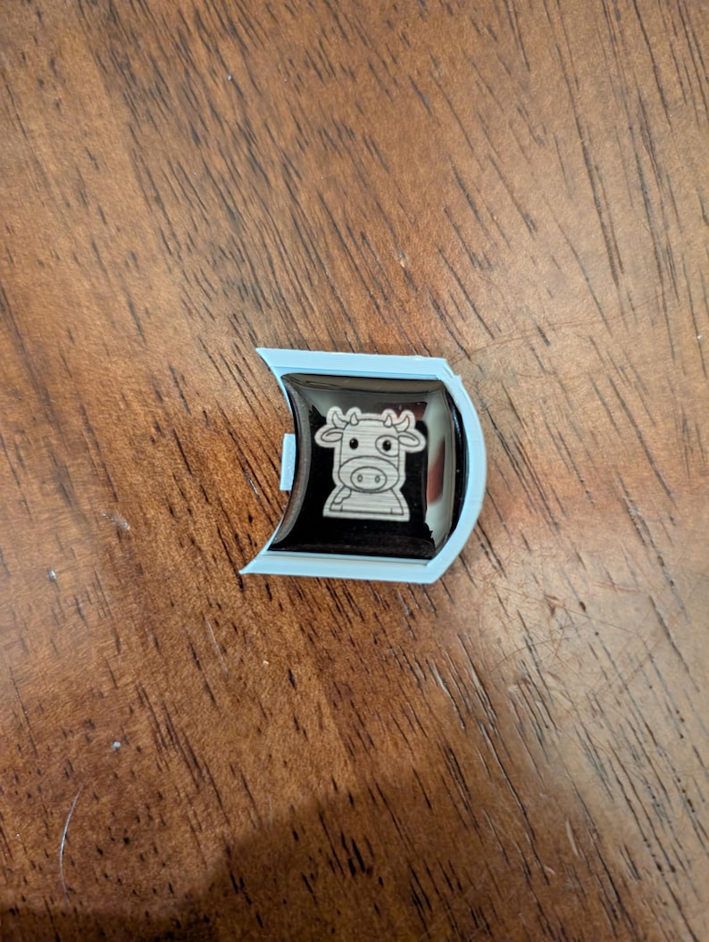 Mooey with silver badge