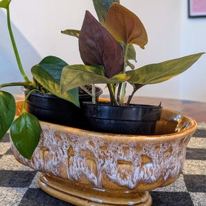 May include: A ceramic planter with a brown and white glaze holds several potted plants with green and burgundy leaves. The planter has a unique, textured design and sits on a checkered surface, creating a decorative display.