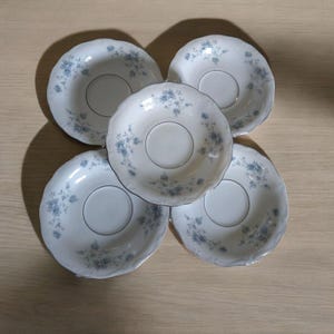 5 Johann Haviland Bavaria Blue Garland Platinum Saucers