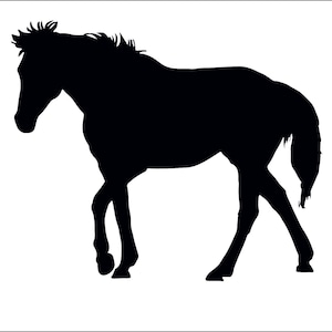 May include: Silhouette of a black horse walking to the right. The horse has a long mane and tail.