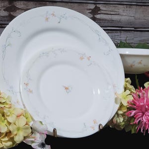 May include: White porcelain dinnerware set featuring delicate floral designs in pastel colors. The set includes a large plate, a smaller plate, and a bowl. The floral pattern is a mix of blue, yellow, and pink, with a light green vine.
