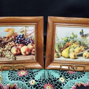 Láminas enmarcadas de NATURALEZA MUERTA VINTAGE. Dos láminas vívidas sobre cartón de pájaros y frutas en marcos de madera. Imagen: 7" x 5,5"; Marco: 10" x 8,5".