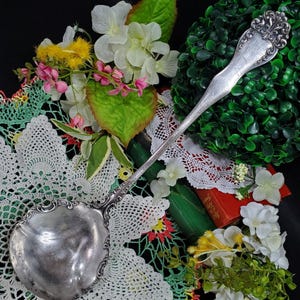 Könnte beinhalten: Eine silberne Schöpfkelle mit einem verzierten Griff und einer großen, abgerundeten Schüssel. Die Schöpfkelle ist von weißen und rosa Blüten, grünen Blättern und weißen Spitzendeckchen umgeben, was eine Vintage-Ästhetik erzeugt.