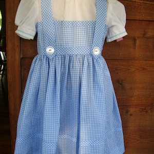 dorothy dress size 4 child image 1