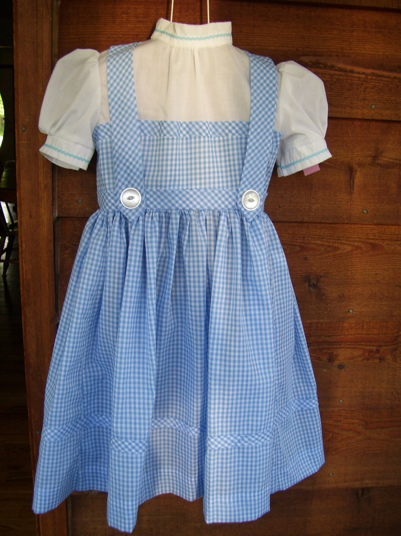 dorothy dress size 4 child image 1