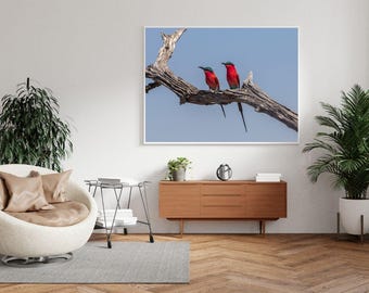 Schönes Karmin Bienenfresser Paar | Digitaler Download | Tierfotografie | Exotischer Vogel Druck | Natur Wandkunst