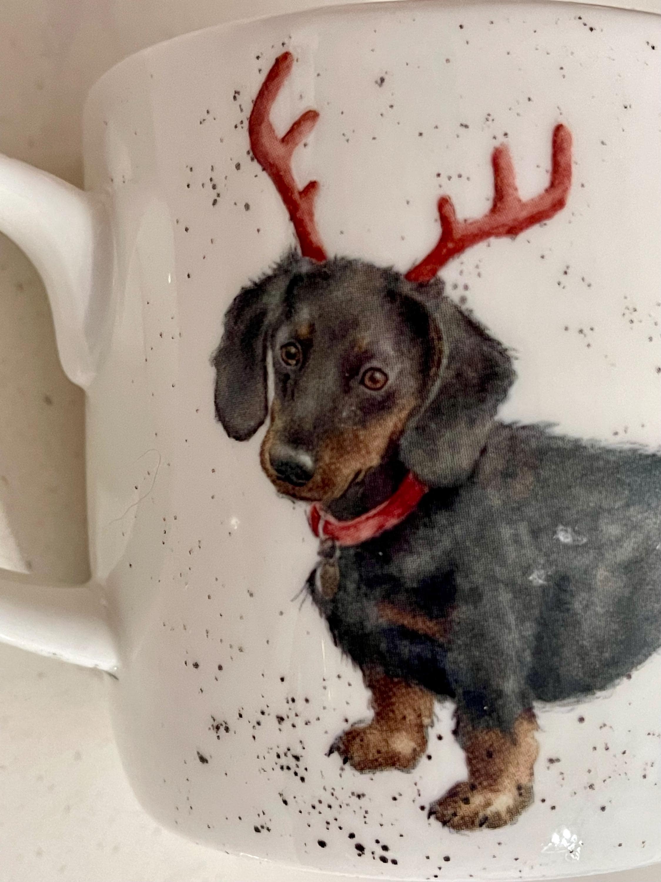  Worcester Serenade ロイヤル・ウースターフルセット Royal Worcester Serenade ロイヤル・ウースターフルセット