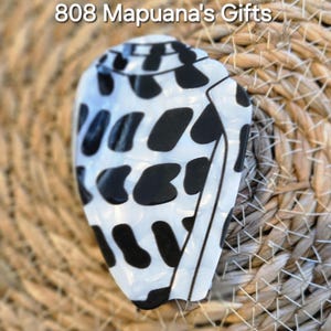 May include: A white and black patterned decorative object, possibly a shell or a similar item, is displayed against a woven background. The object has a unique shape and design, with the text "808 Mapuana's Gifts" at the top.