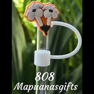 Hawaii Edition Double Puakenikeni Straw Topper