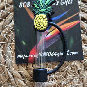 Hawaii Edition Pineapple Straw Topper