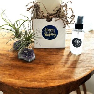 2 SET Amethyst Geode Crystal Air Plant Holders - Unique Birthday Gift for Plant and Crystal Lovers - Includes Air Plants, Gift Box & Bottle