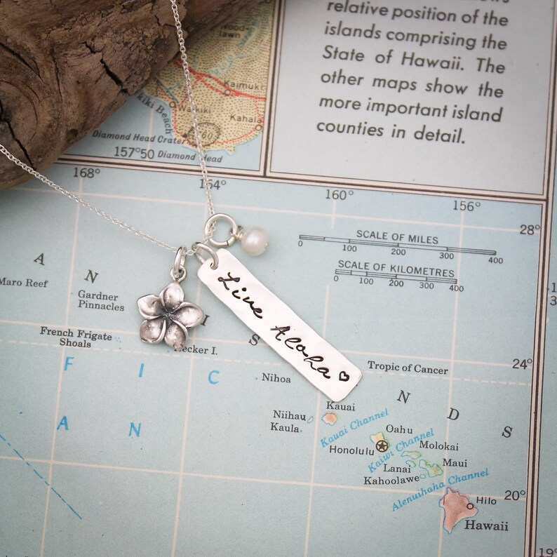 May include: A silver necklace with a charm that says "Live Aloha" and a small silver flower charm. The necklace is on a map of Hawaii.