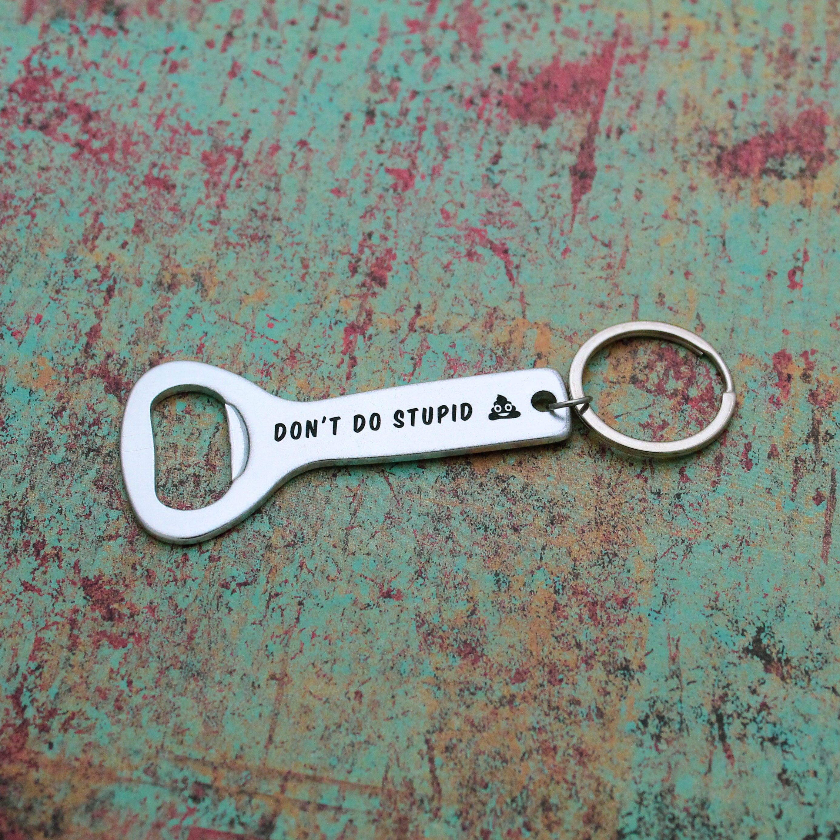 Don't Do Stupid Shit Keychain – The LandlockedDog