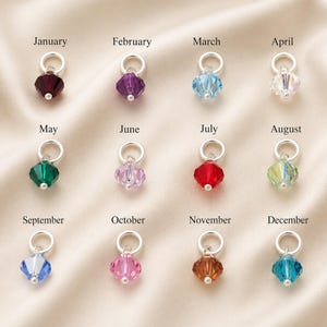 One Sterling Silver Swarovski Crystal Birthstone Charm image 1