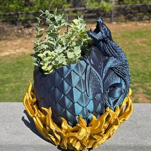 May include: A blue and gold dragon egg planter with a plant growing out of the top. The egg is made of a textured material that looks like scales. The dragon is emerging from the egg with its mouth open.