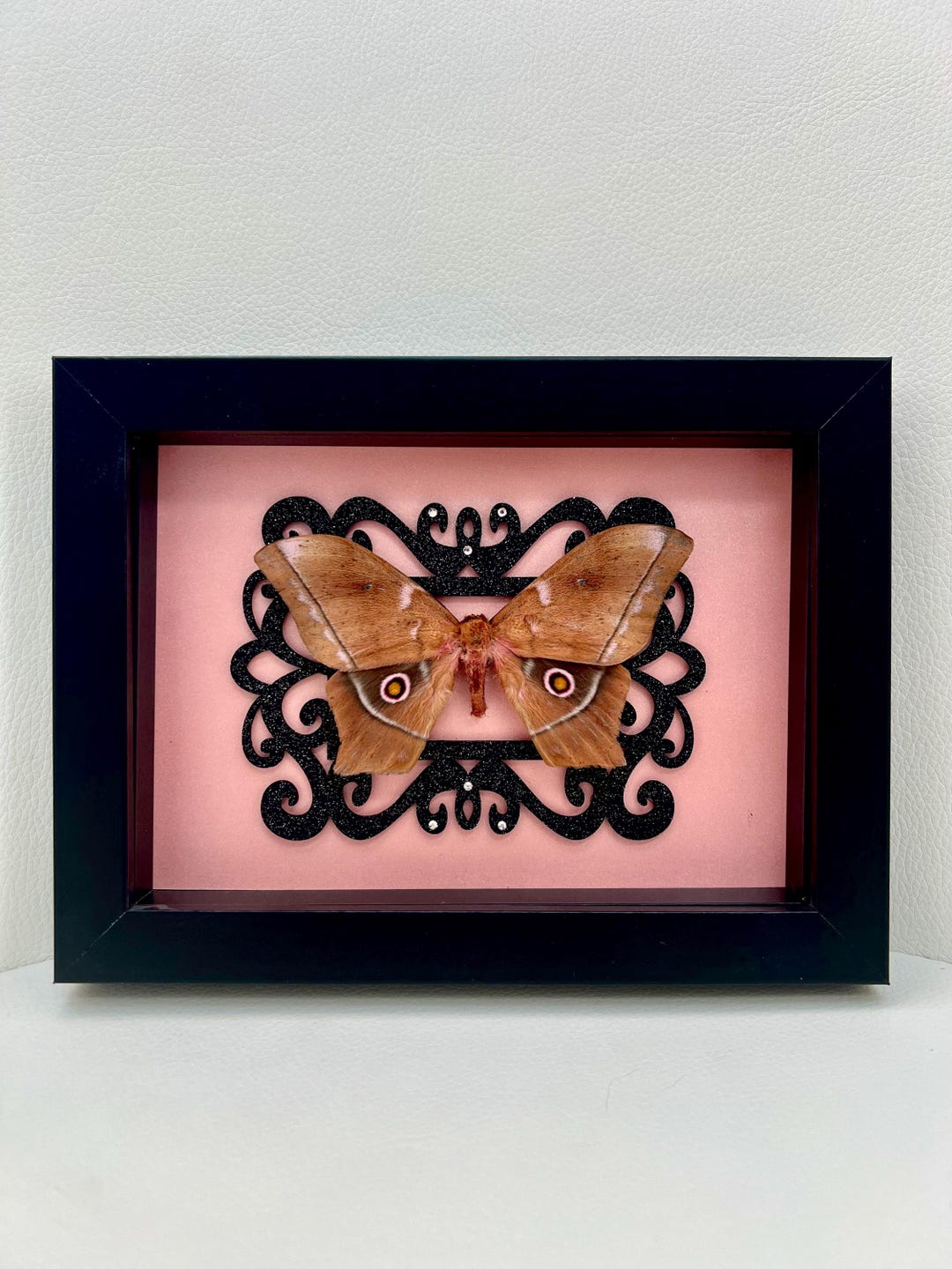 Soft Goth Decor | Polyphemus Moth | Pastel Goth Decor | Framed Insect ...